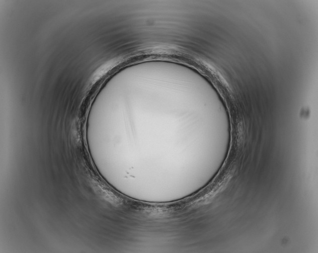X0000096700970200802261601