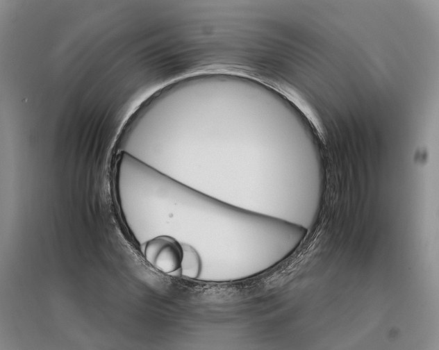X0000096700972200802261601