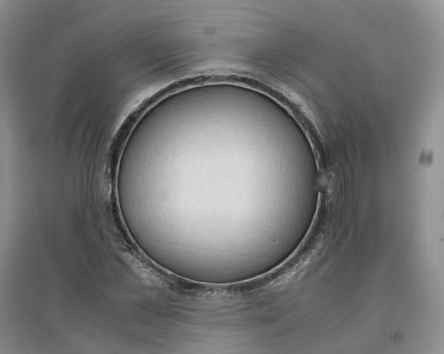 X0000096700973200802261601