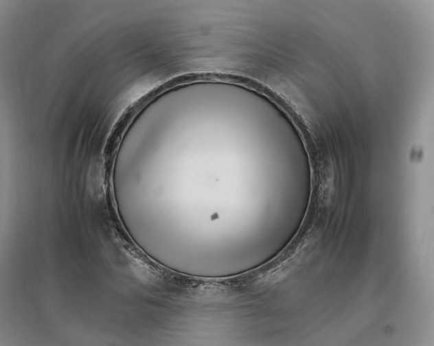 X0000096700974200802261601
