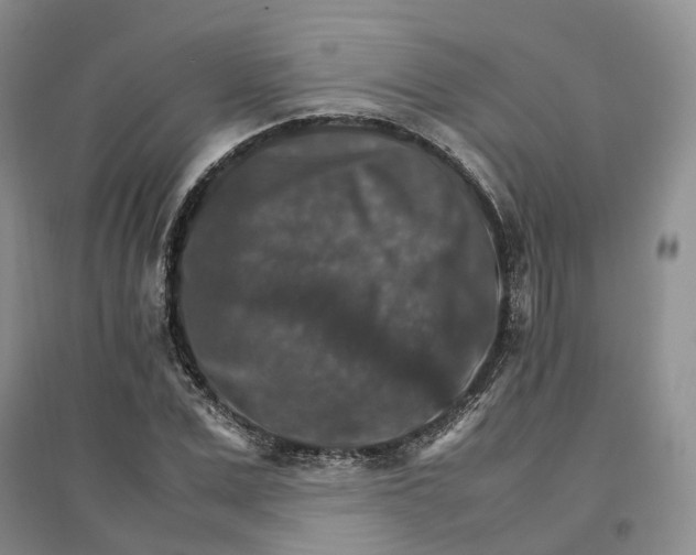 X0000096700975200802261601