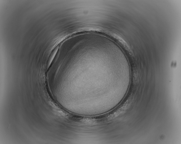 X0000096700977200802261601