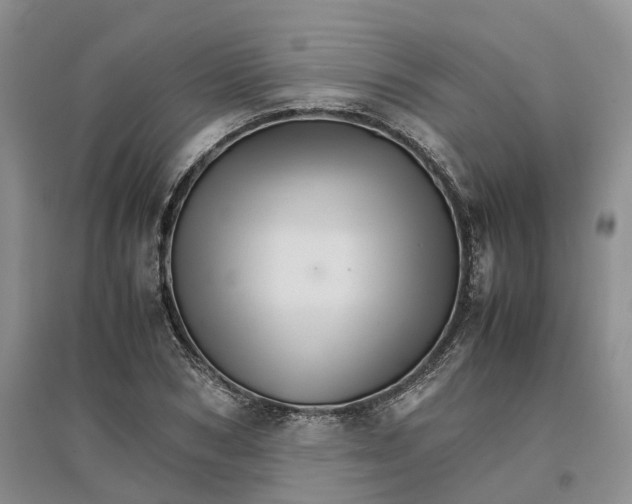 X0000096700978200802261601