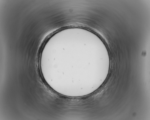 X0000096700979200802261601