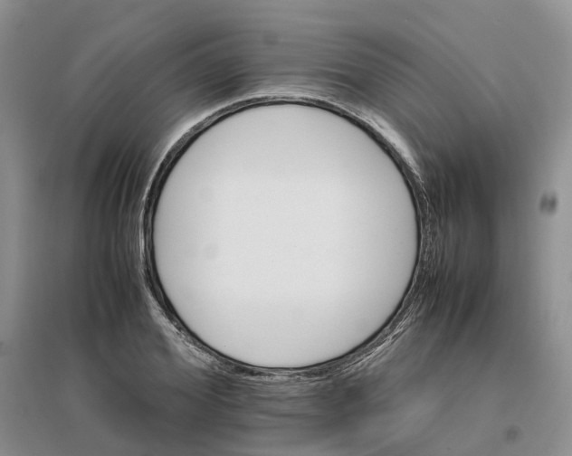 X0000096700980200802261601