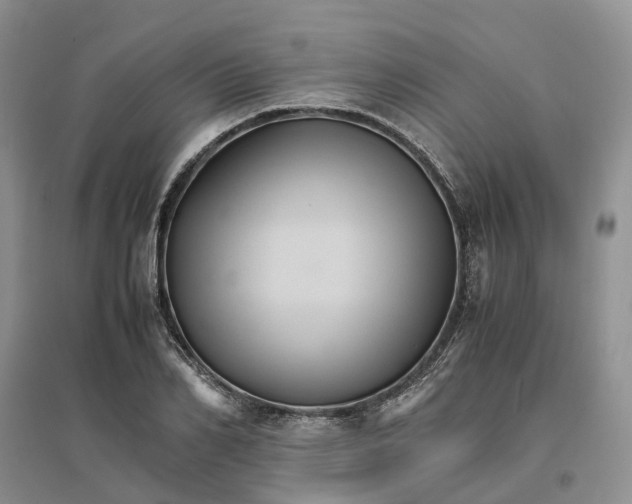 X0000096700982200802261601
