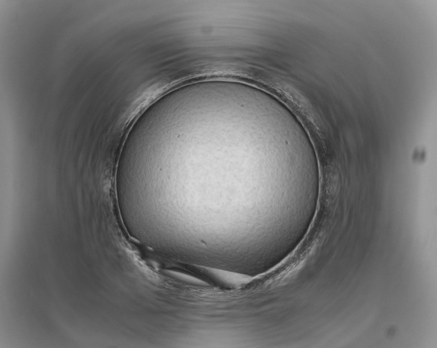 X0000096700985200802261601