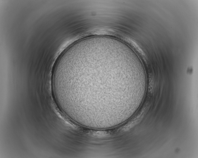 X0000096700986200802261601