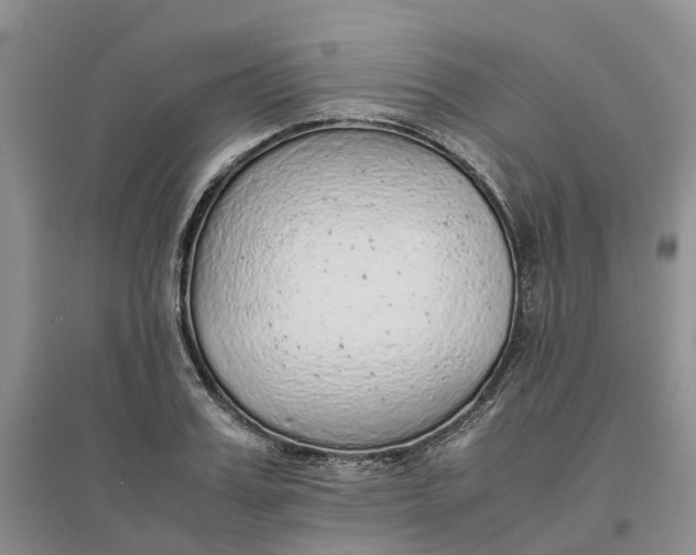 X0000096700987200802261601