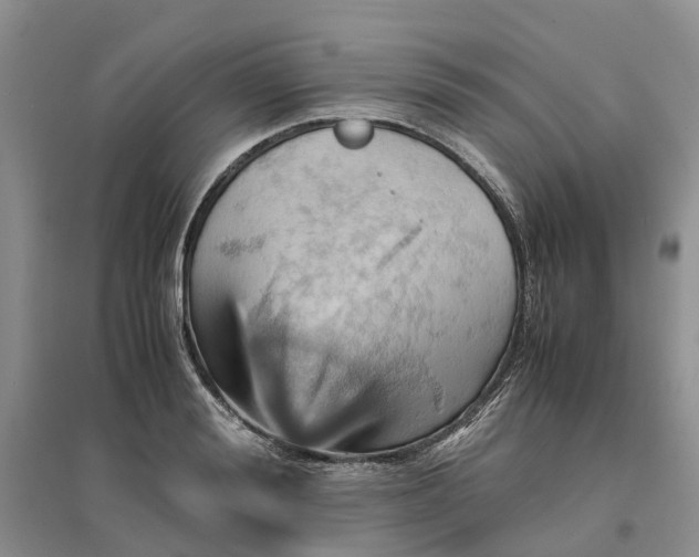 X0000096700988200802261601