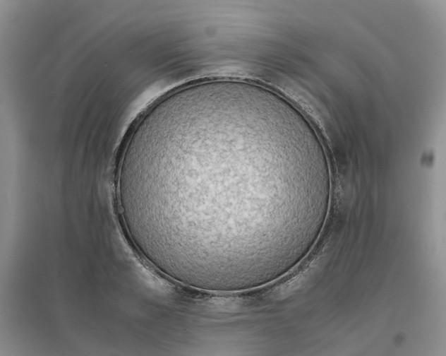 X0000096700989200802261601