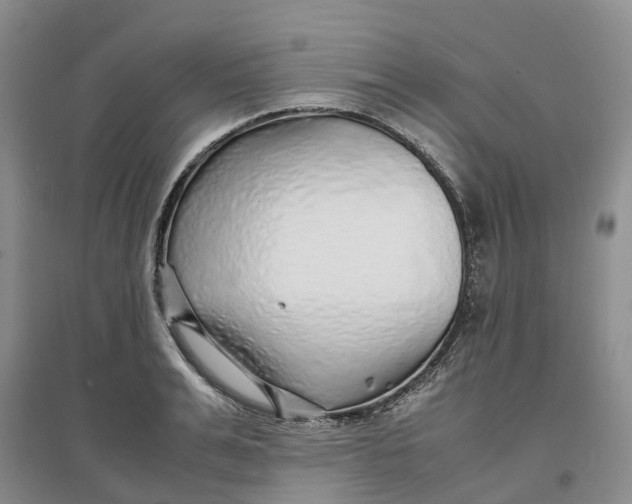 X0000096700991200802261601
