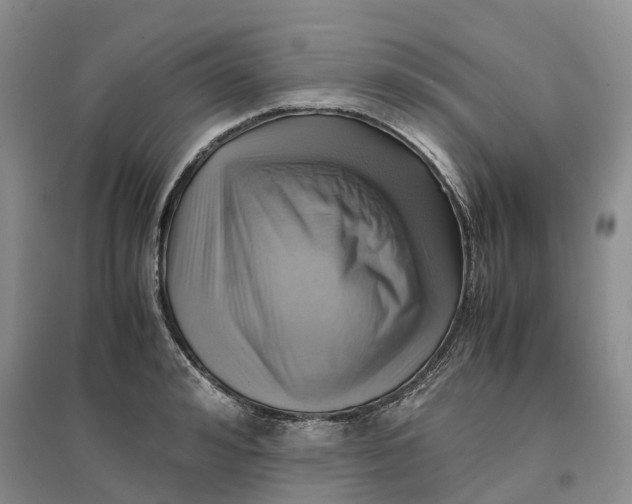 X0000096700992200802261601