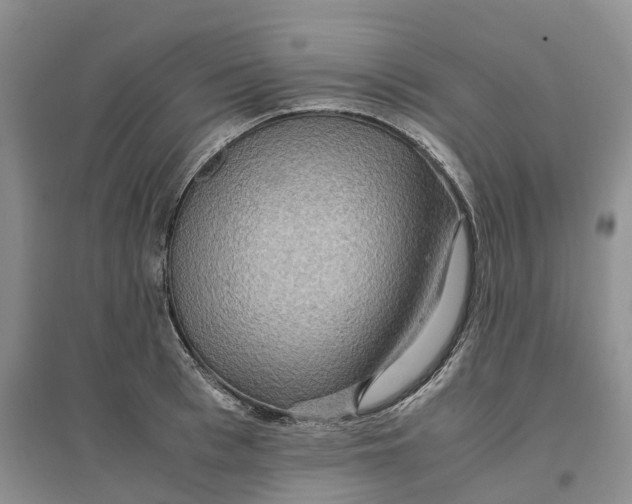 X0000096700993200802261601