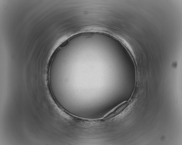 X0000096700997200802261600
