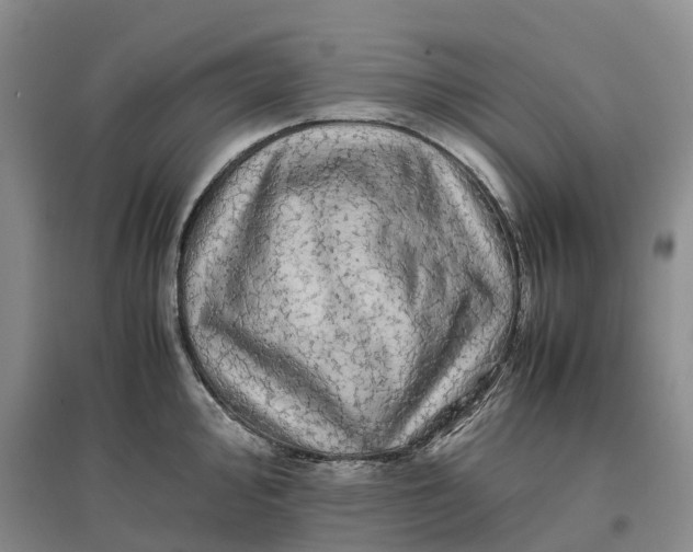 X0000096701000200802261600