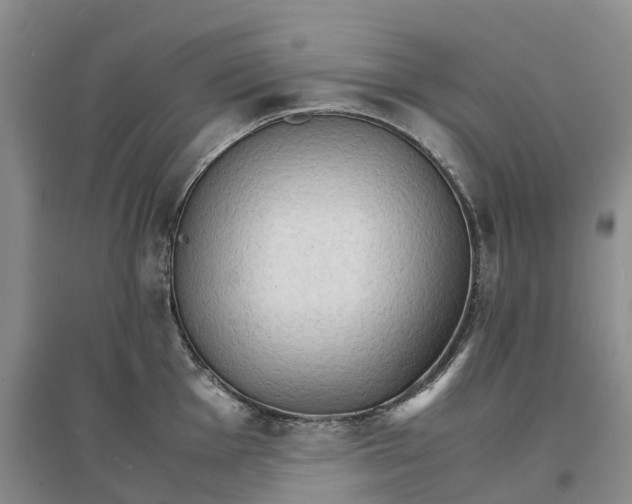 X0000096701001200802261600