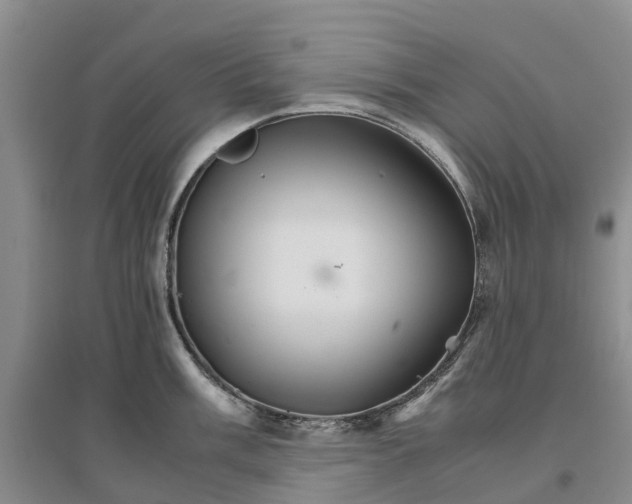 X0000096701003200802261600