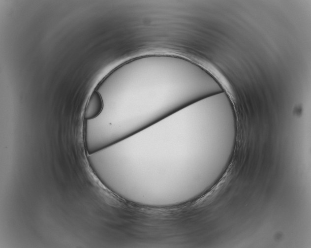 X0000096701004200802261600