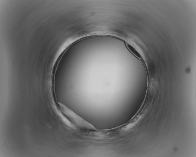 X0000096701005200802261600