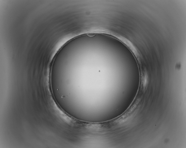 X0000096701006200802261600