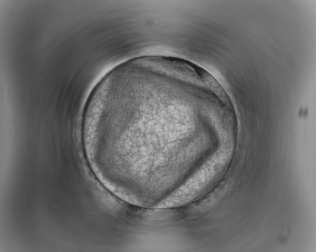 X0000096701008200802261600