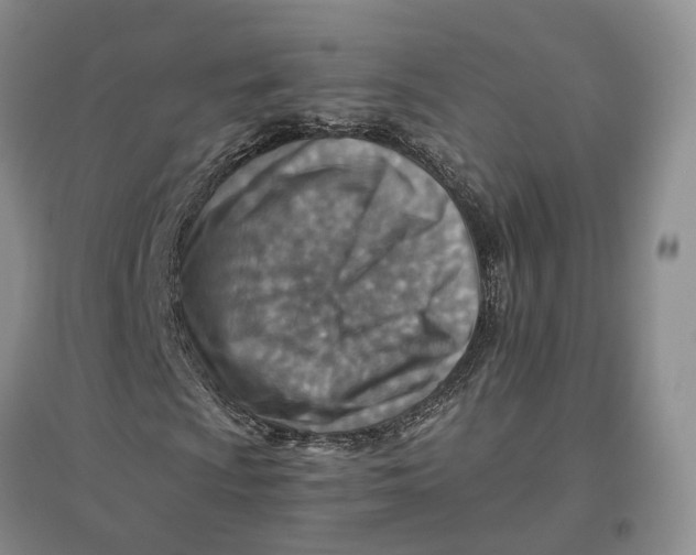 X0000096701009200802261600