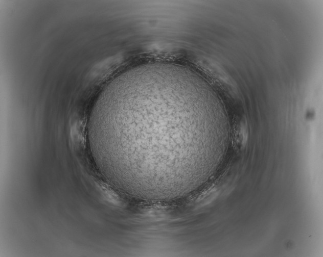 X0000096701010200802261600