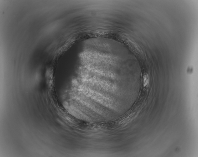 X0000096701011200802261600