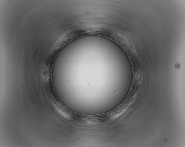 X0000096701012200802261600