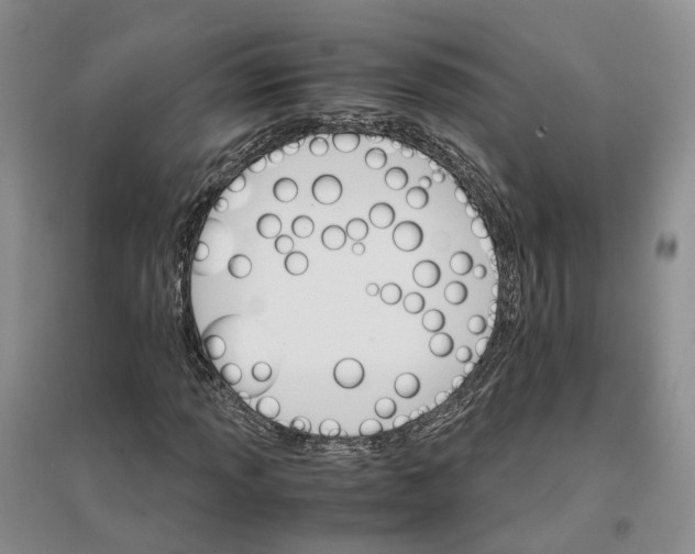 X0000096701013200802261600