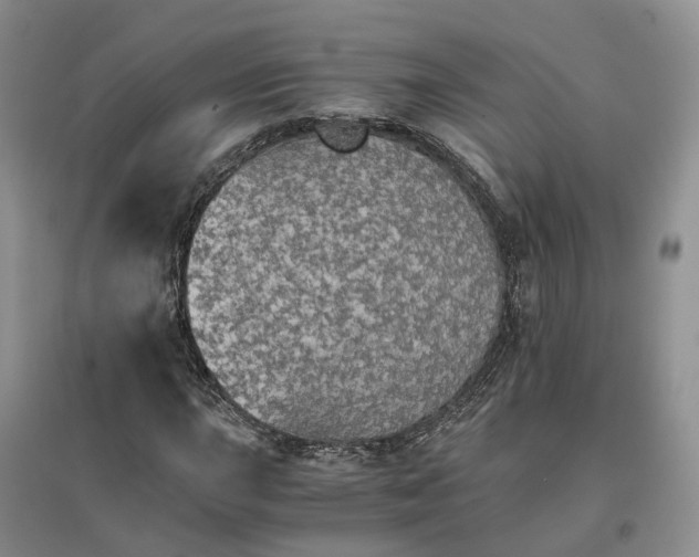 X0000096701015200802261600