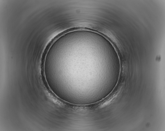 X0000096701020200802261600