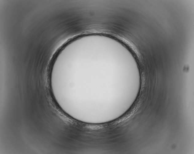 X0000096701023200802261600