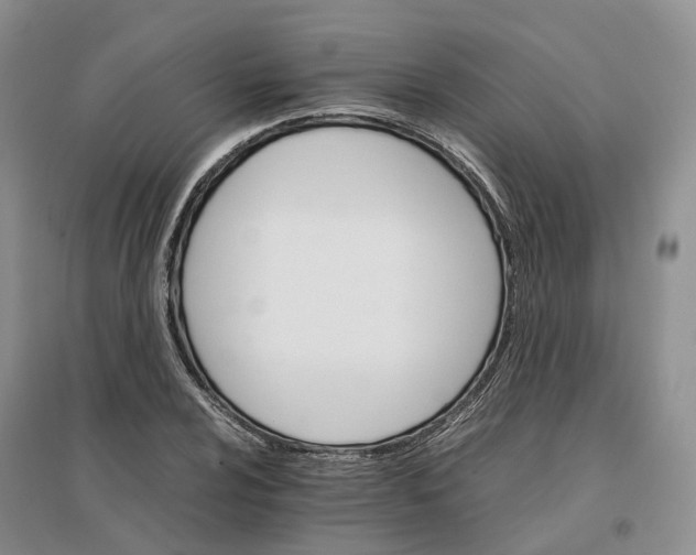 X0000096701024200802261600