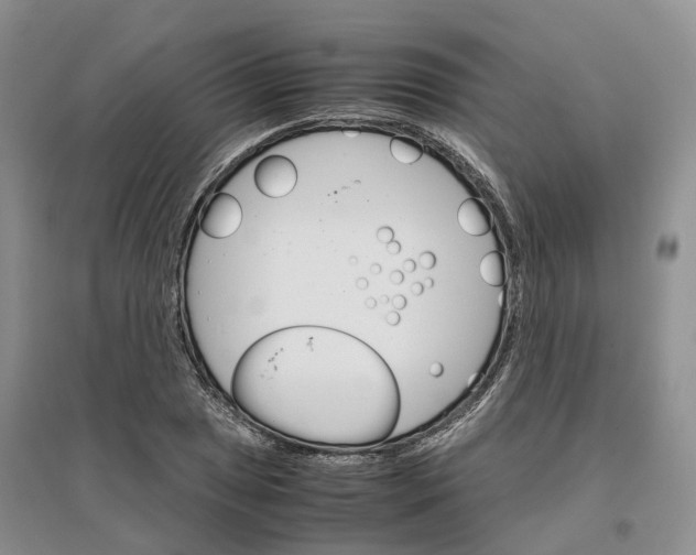 X0000096701025200802261600