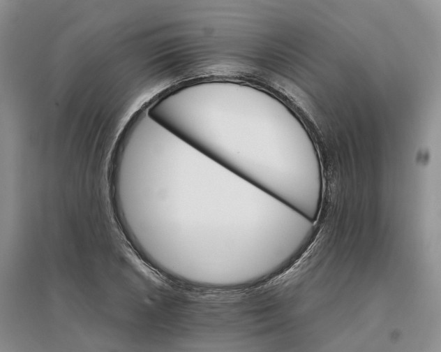 X0000096701026200802261600