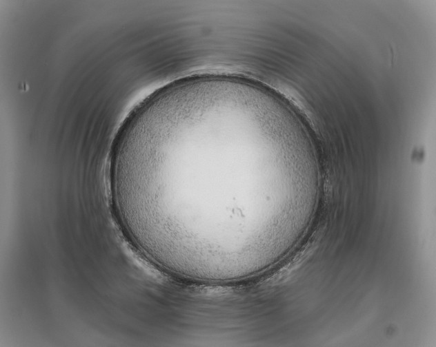X0000096701030200802261600