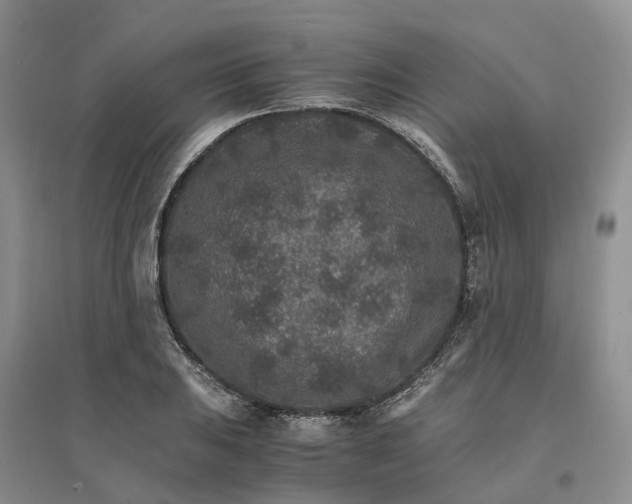 X0000096701031200802261600