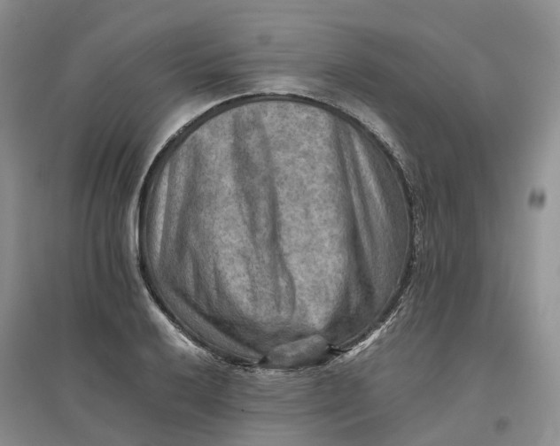 X0000096701032200802261600