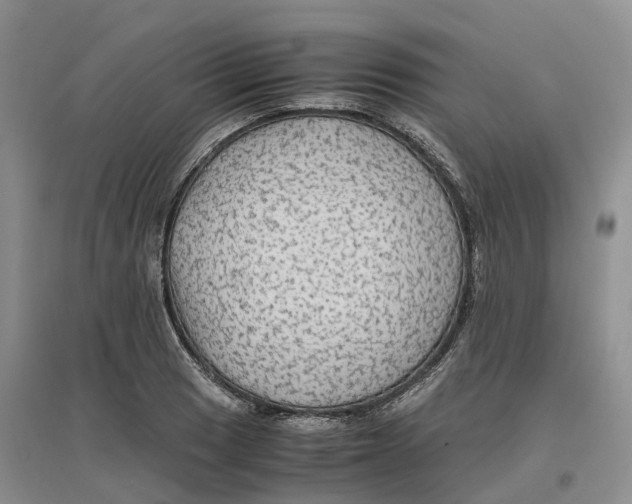 X0000096701033200802261600