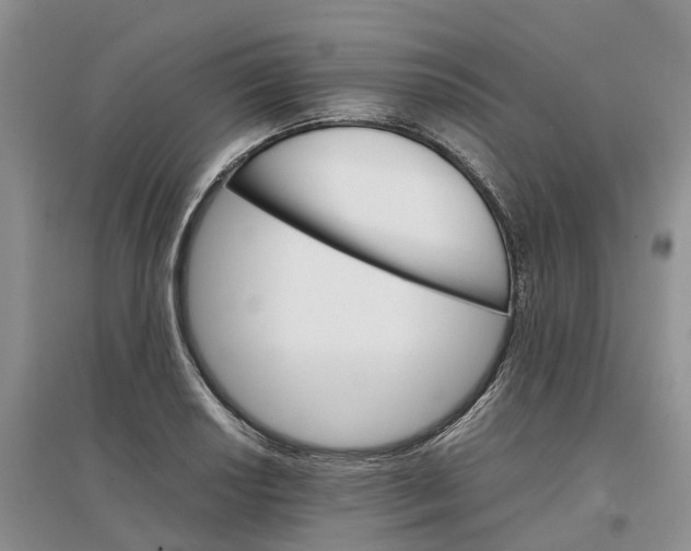 X0000096701034200802261600