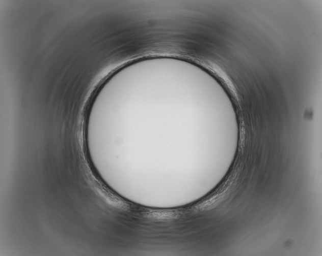 X0000096701035200802261600
