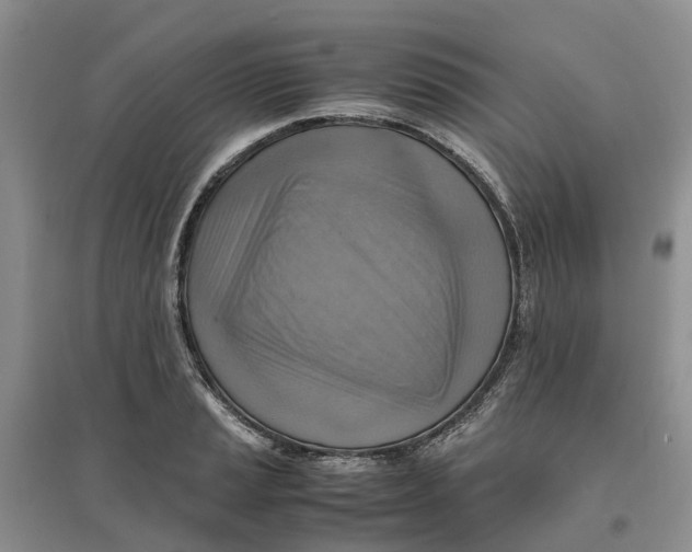 X0000096701037200802261600