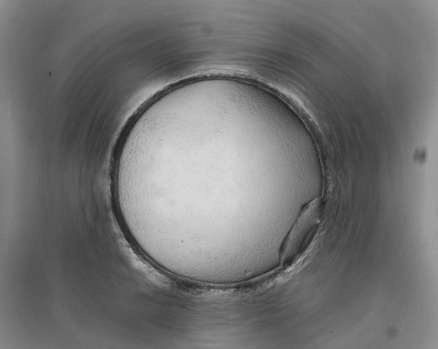 X0000096701038200802261600