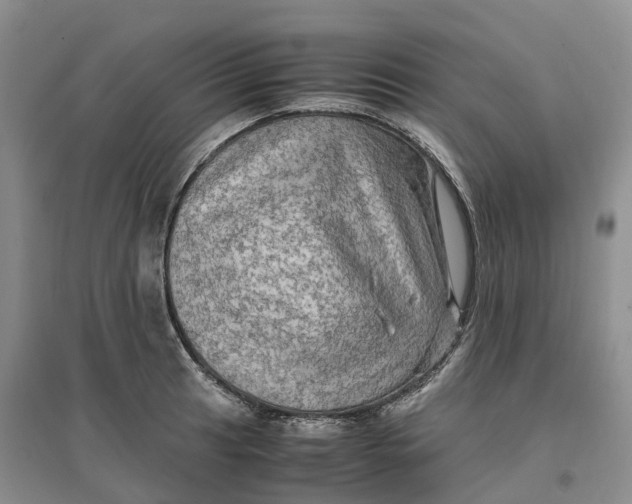 X0000096701041200802261600