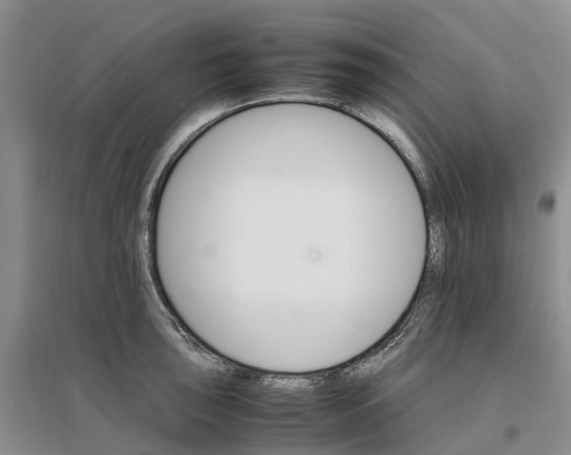 X0000096701043200802261600