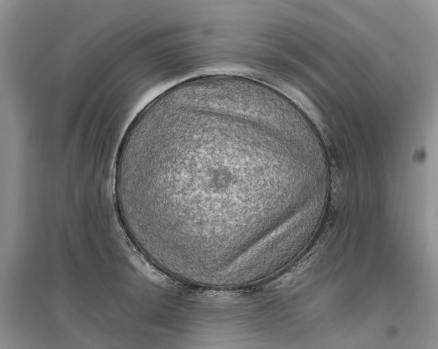 X0000096701044200802261600