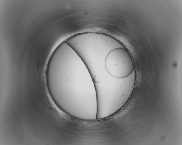 X0000096701046200802261600