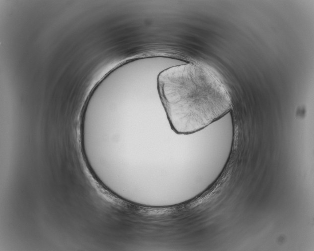 X0000096701047200802261600